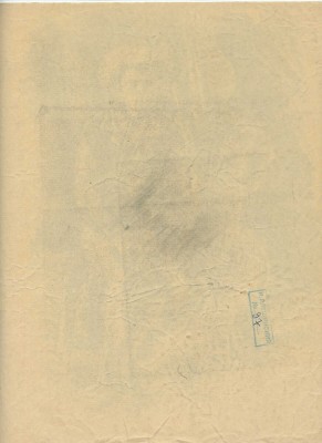 Плещинский Илларион Николаевич. Портрет мальчика 